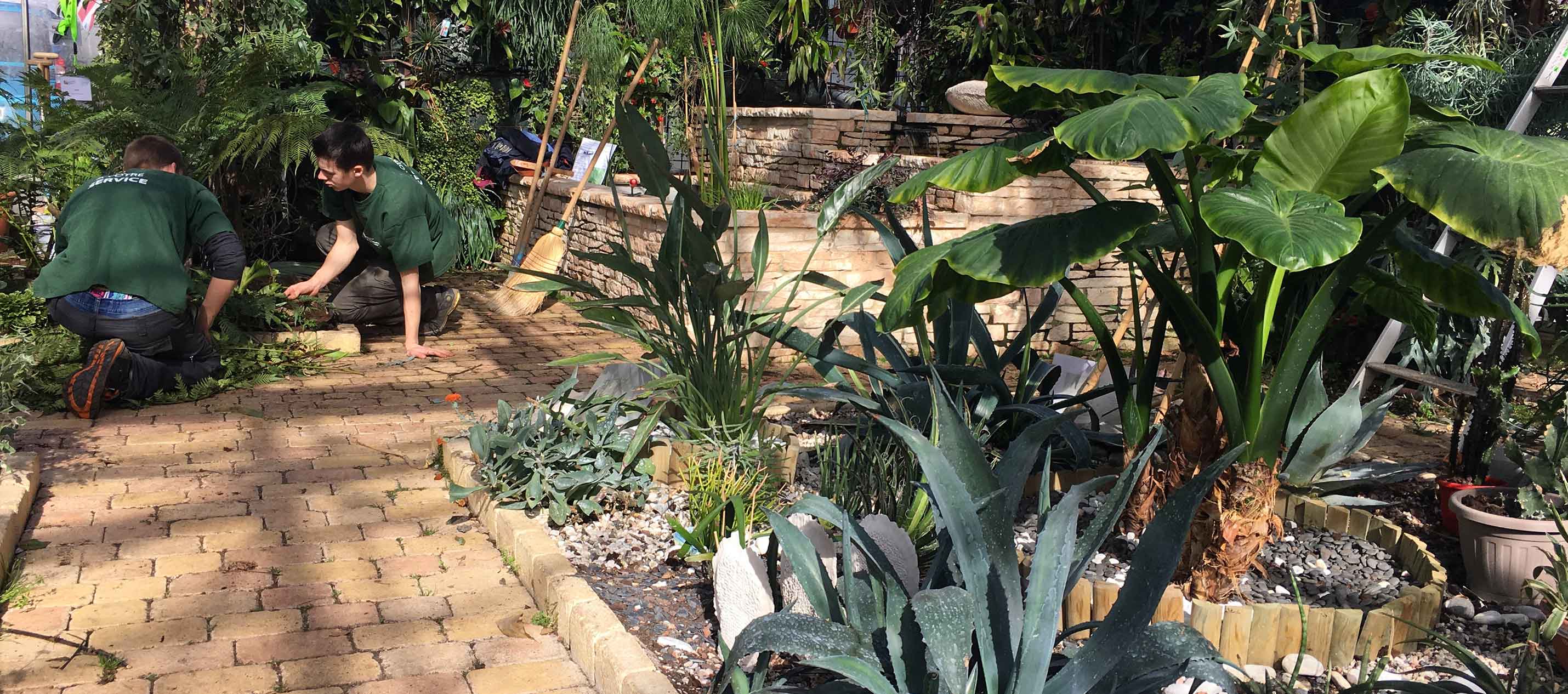 FondFormation Serre2