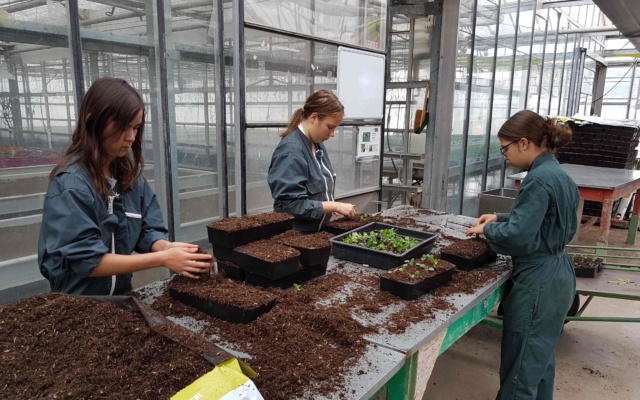 20190917_084529 640x400